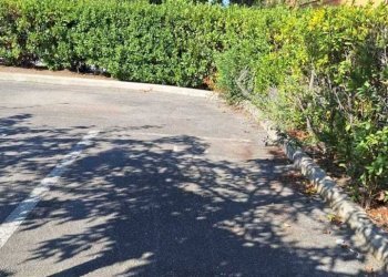 Immagine WhatsApp 2024-09-06 ore 11.38.21_b3d7061a - Villa Torre di Maremma, Montalto di Castro - foto 28