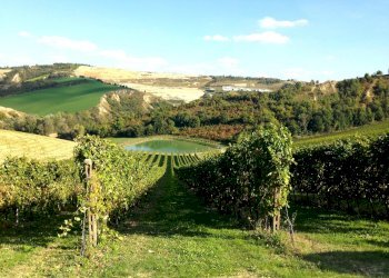 Azienda agricola Riolo Terme - foto 1