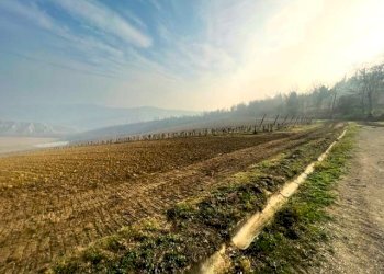 Azienda agricola Riolo Terme - foto 4