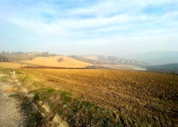 Azienda agricola Riolo Terme - foto 5
