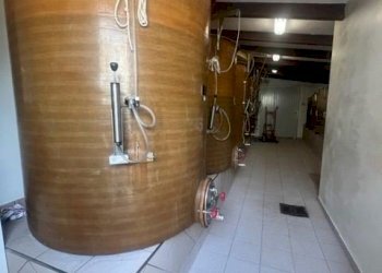 Azienda agricola Riolo Terme - foto 7