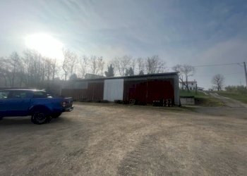 Azienda agricola Riolo Terme - foto 8