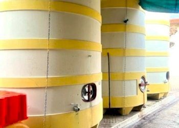 Azienda agricola Riolo Terme - foto 9