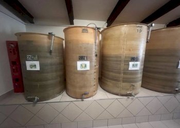 Azienda agricola Riolo Terme - foto 10