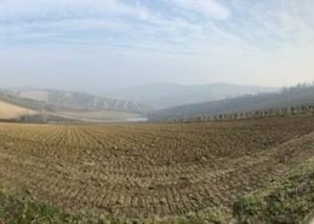 Azienda agricola Riolo Terme - foto 13