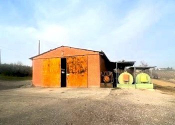 Azienda agricola Riolo Terme - foto 14