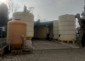 Azienda agricola Riolo Terme - foto 16