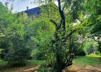 Villa Unifamiliare Casalgrande - foto 2