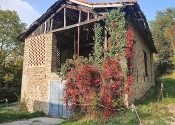 Casa indipendente via lupazzo, Toano - foto 4