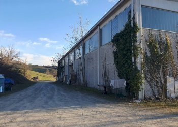 Shed Prignano sulla Secchia - photo 3