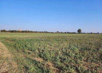 Rustico Formigine - foto 10