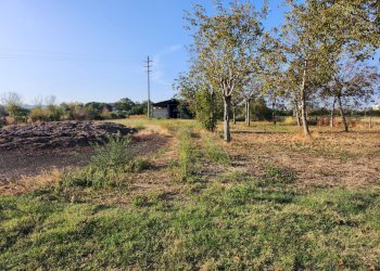 Rustico Formigine - foto 11