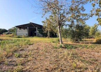 Rustico Formigine - foto 13