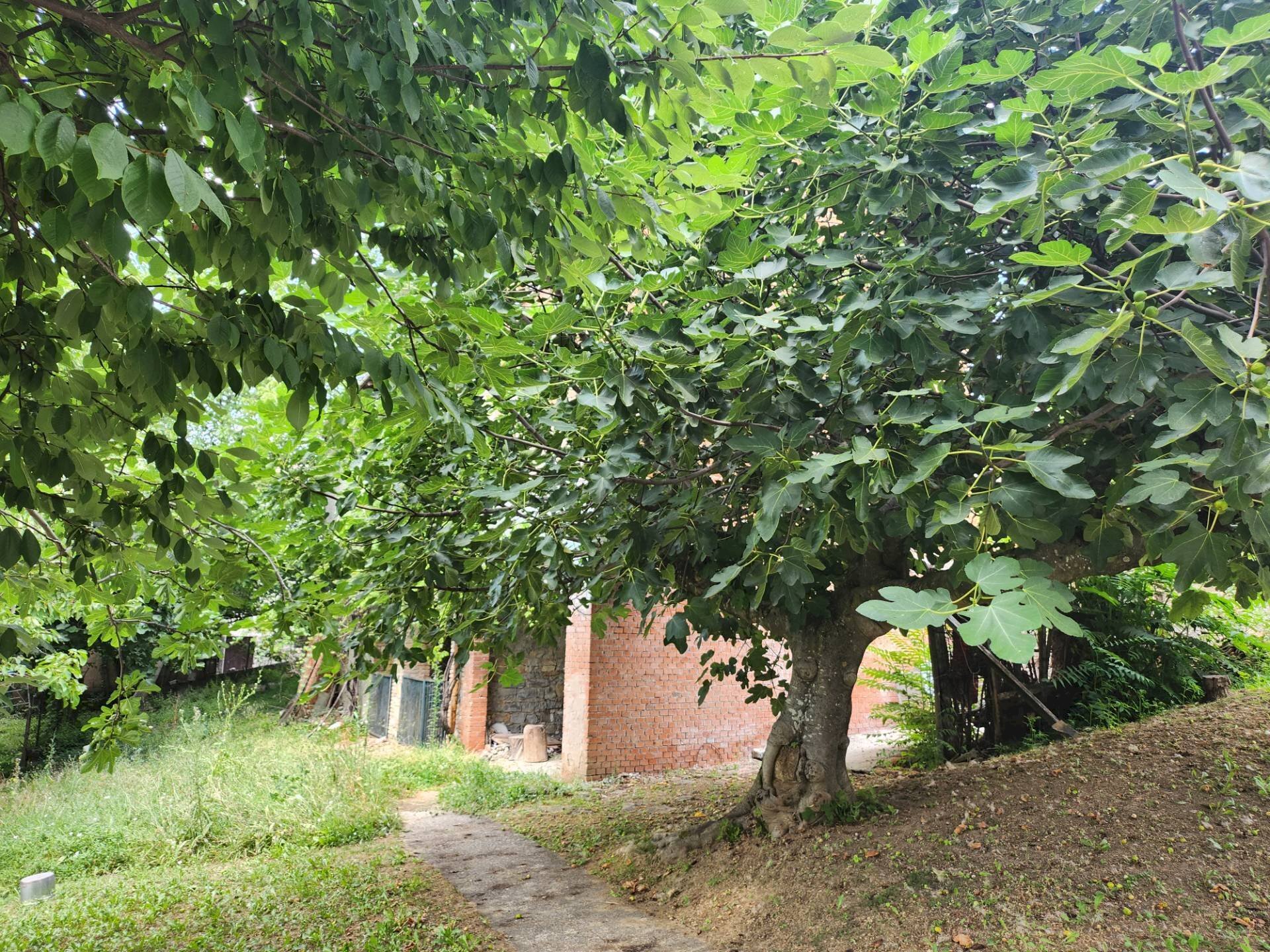 Rustico Prignano sulla Secchia - foto 2