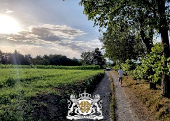Zona - Rustico via del Gavotto, 36/A, Peveragno - foto 11