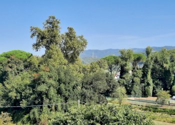 20240830_105602.jpg - Quadrilocale Sarzana - foto 8