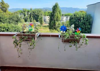 20240830_105430.jpg - Quadrilocale Sarzana - foto 9