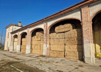 WhatsApp Image 2024-01-12 at 11.37.11.jpeg - Villa SS45bis, Pontevico - photo 12