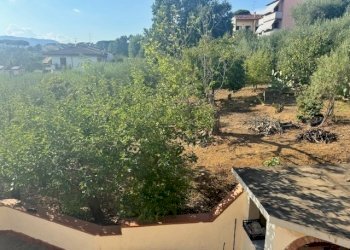 IMG_6424.jpg - Villa Via Giovanni Boccaccio, Carmignano - foto 11