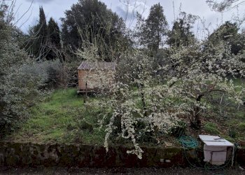 Villa Unifamiliare Via Banco di Santo Spirito, Grottaferrata - foto 18