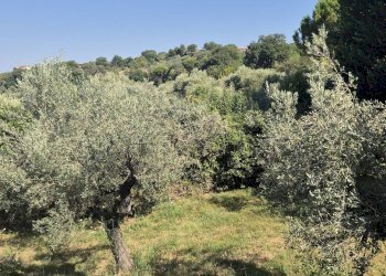 Villa Unifamiliare Località Pinoleto, Montopoli di Sabina - foto 19