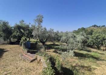 Villa Unifamiliare Località Pinoleto, Montopoli di Sabina - foto 22