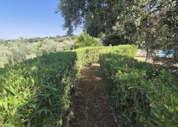 Villa Unifamiliare Località Pinoleto, Montopoli di Sabina - foto 26