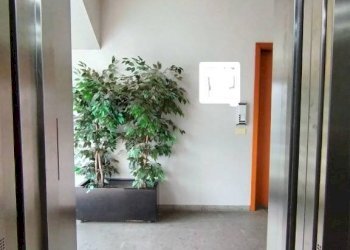 Ascensori - Ufficio via Baldassarre Peruzzi, Carpi - foto 15