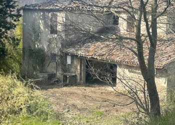 c13b1e6b-4dfe-4485-8a99-7481eb7a0dae.jpg - Rustico Via Zotto, Roncofreddo - foto 4