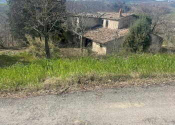 e860a79f-b675-45d7-9247-ae05499dbb75.jpg - Rustico Via Zotto, Roncofreddo - foto 5