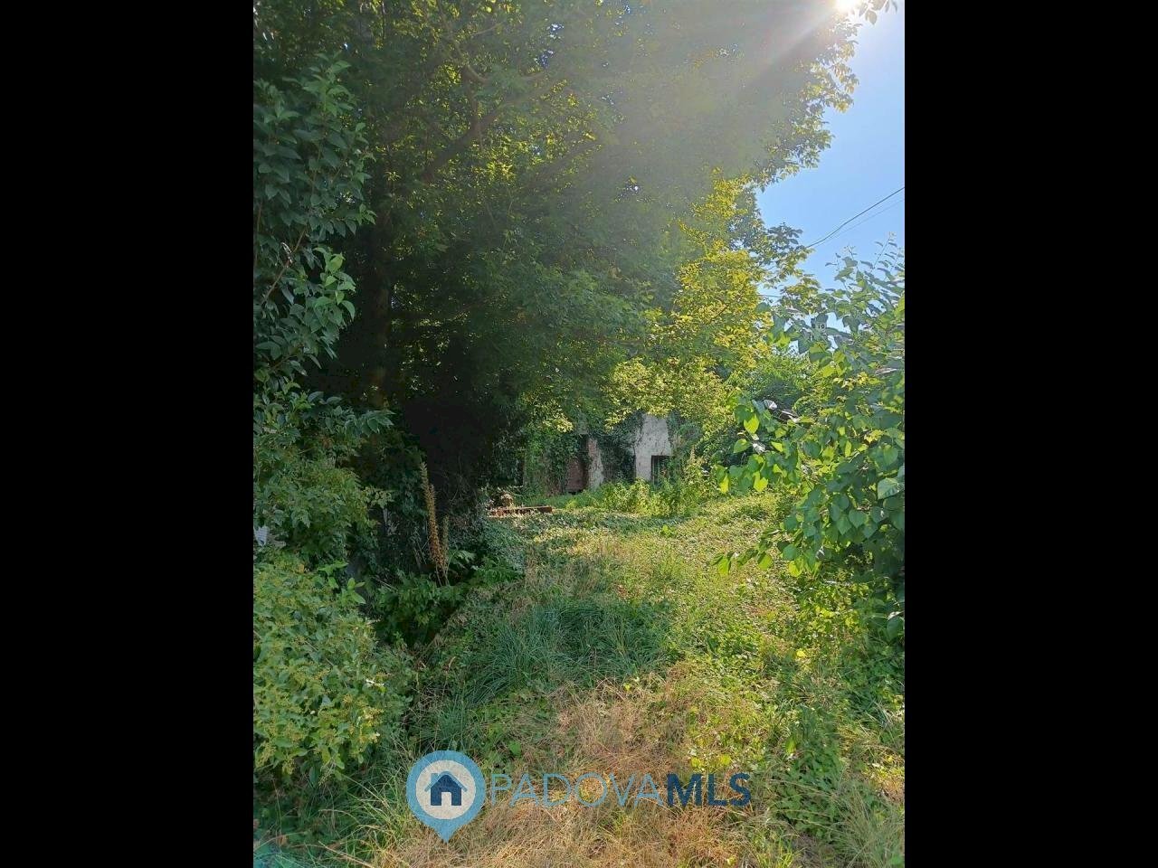 foto_3.jpg - Casa semi indipendente Via Rivella 2, Battaglia Terme - foto 3