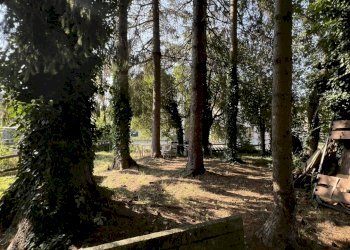 Rif 1607 (51).JPEG - Appartamento Via Sorerolo 2, Sassello - foto 6