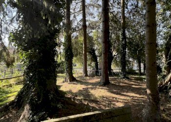 Rif 1607 (52).JPEG - Appartamento Via Sorerolo 2, Sassello - foto 7