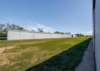 Attività Commerciale Strada Dei Prati Nuovi di Campagna, Mazzè - foto 4