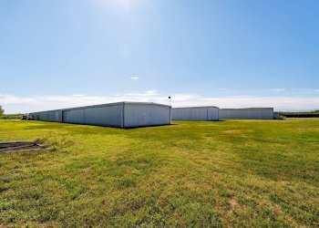 Attività Commerciale Strada Dei Prati Nuovi di Campagna, Mazzè - foto 5