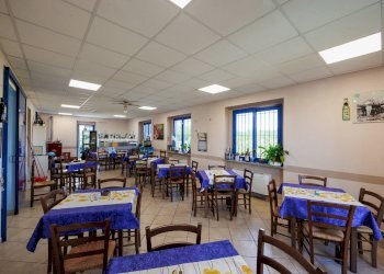 Attività Commerciale Strada Dei Prati Nuovi di Campagna, Mazzè - foto 19