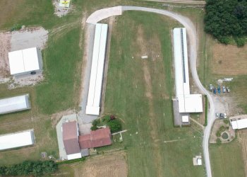 Attività Commerciale Strada Dei Prati Nuovi di Campagna, Mazzè - foto 21