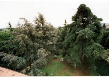 Vista - Villa via Felicione, Dozza - photo 6