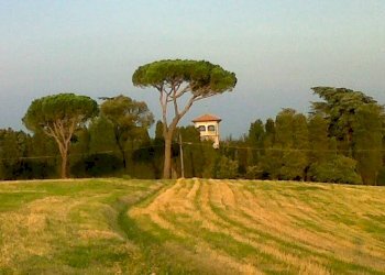 Terreno - Villa via Felicione, Dozza - photo 8