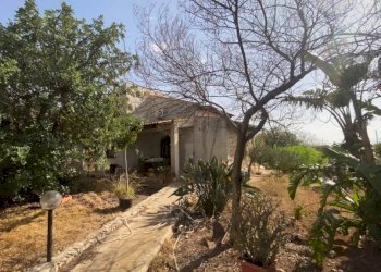 Terreno - Villa via Aldo Moro, Cinisi - foto 7