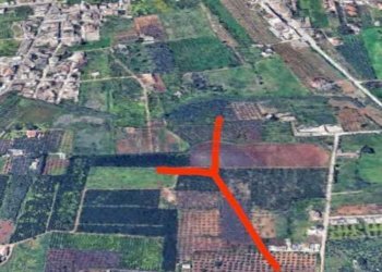 1.jpg - Agricultural land Castelvetrano - photo 5