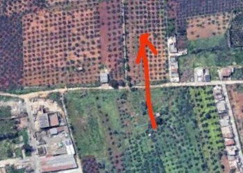 2.jpg - Agricultural land Castelvetrano - photo 6