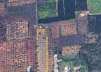 3.jpg - Agricultural land Castelvetrano - photo 7