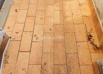 Terrazzo - Monolocale Via Palazzola snc, Forlì - foto 17