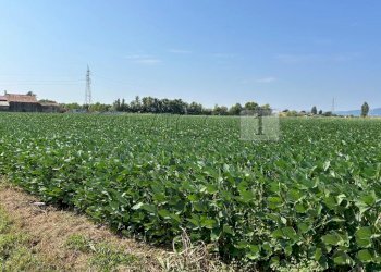 Esterno (1).JPG - Terreno agricolo Via Volpara, Castegnero - foto 2