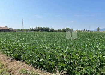 Esterno (2).JPG - Terreno agricolo Via Volpara, Castegnero - foto 3