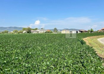 Esterno (4).JPG - Terreno agricolo Via Volpara, Castegnero - foto 4