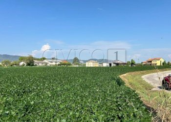 Esterno (5).JPG - Terreno agricolo Via Volpara, Castegnero - foto 5