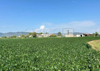 Esterno (6).JPG - Terreno agricolo Via Volpara, Castegnero - foto 6