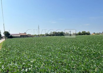 Esterno (9).JPG - Terreno agricolo Via Volpara, Castegnero - foto 8